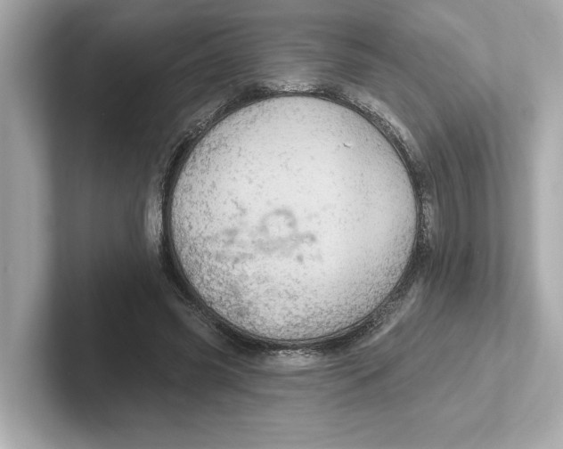 X0000101090541200807241010