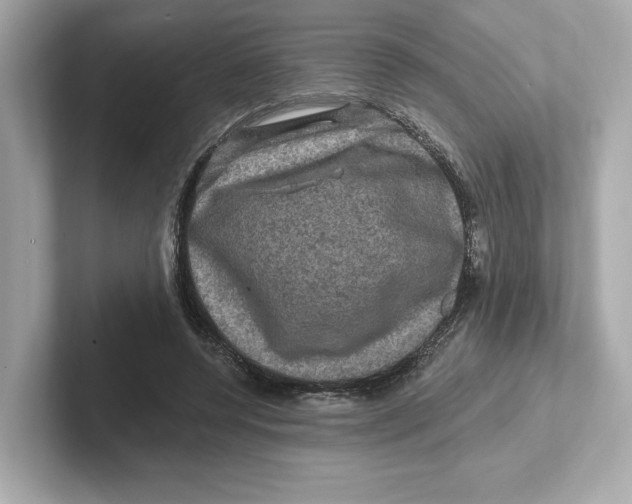 X0000101090544200807241010