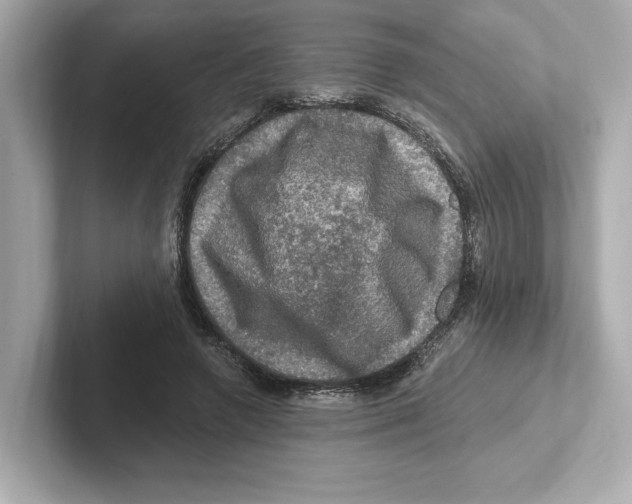 X0000101090546200807241010