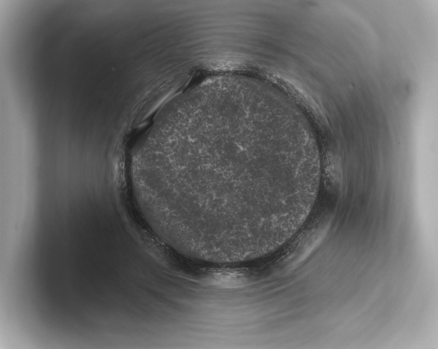 X0000101090547200807241010