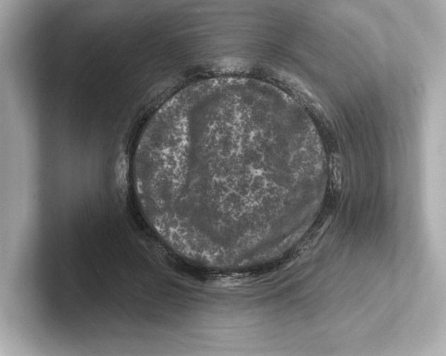 X0000101090550200807241010