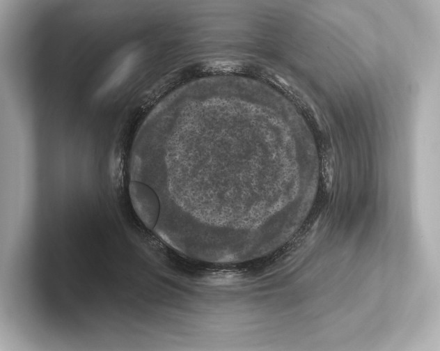 X0000101090551200807241010