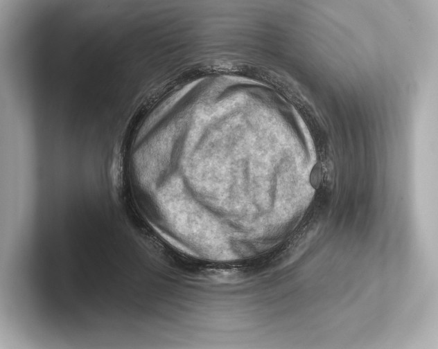 X0000101090552200807241010
