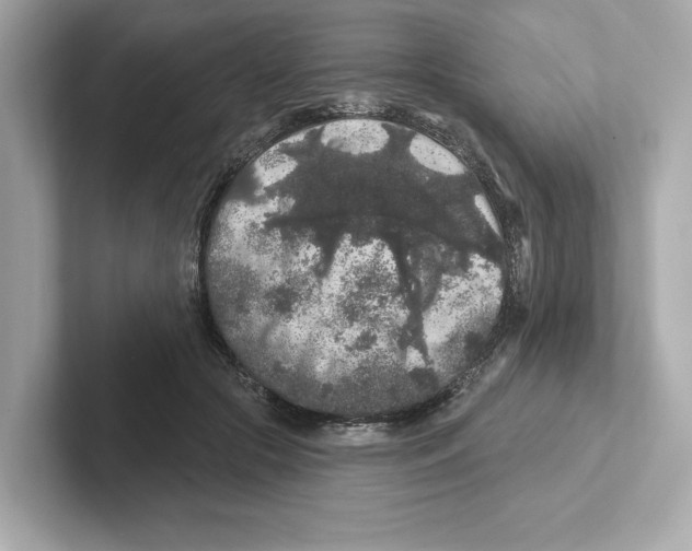 X0000101090553200807241010