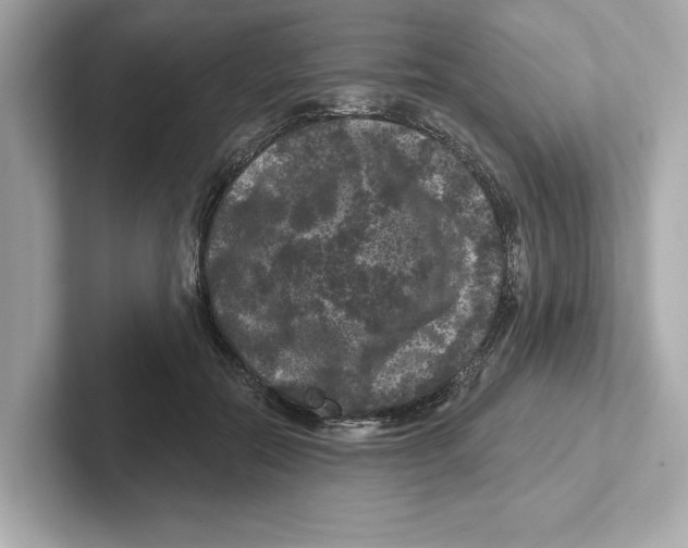 X0000101090554200807241010