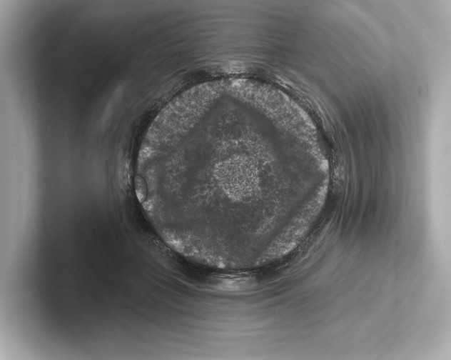 X0000101090555200807241010