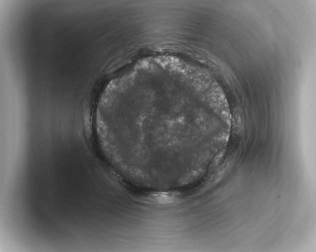 X0000101090558200807241010