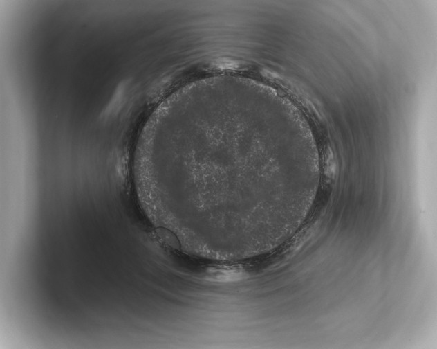 X0000101090559200807241010