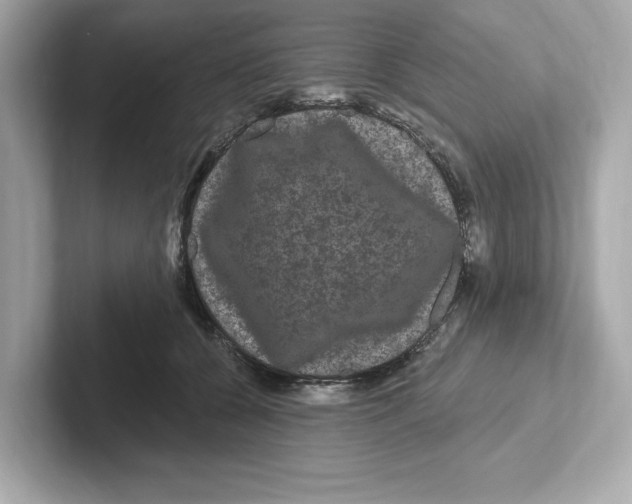 X0000101090560200807241010