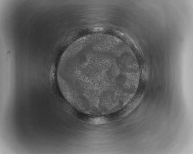 X0000101090561200807241010