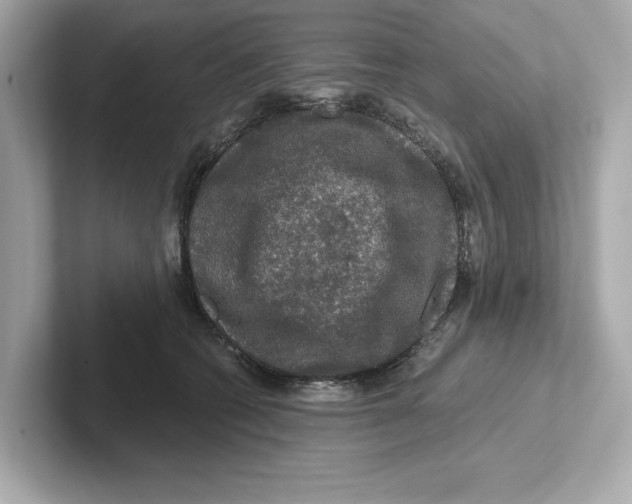 X0000101090562200807241010