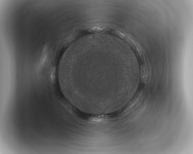 X0000101090563200807241010