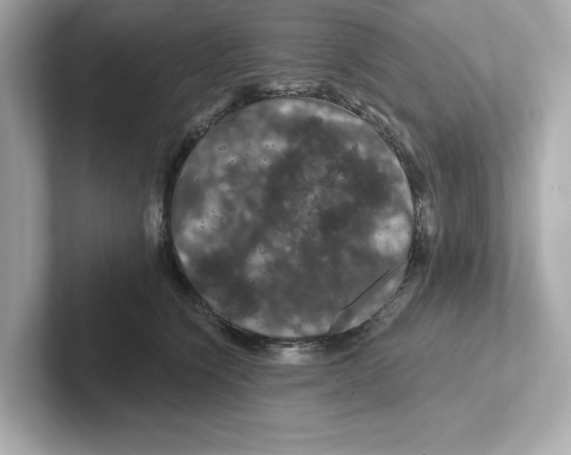 X0000101090564200807241010