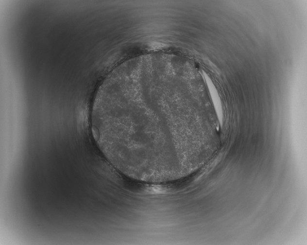 X0000101090565200807241010