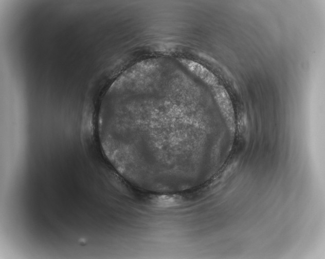 X0000101090566200807241010