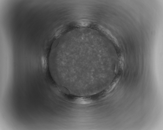 X0000101090568200807241010