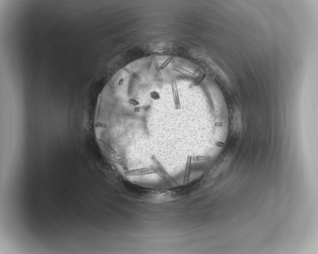 X0000101090569200807241010