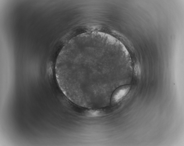 X0000101090570200807241010