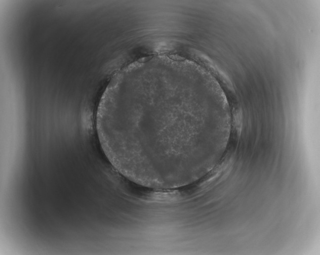 X0000101090571200807241010