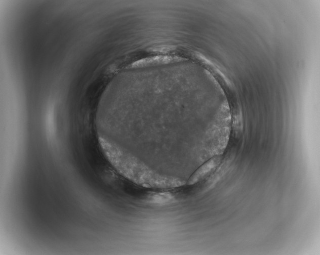 X0000101090572200807241010