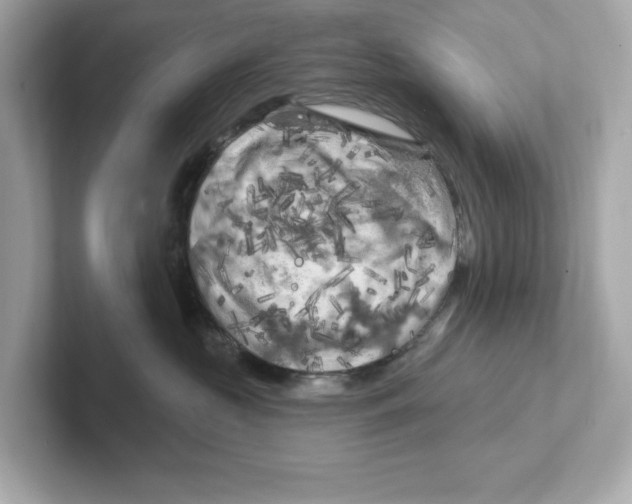X0000101090573200807241010