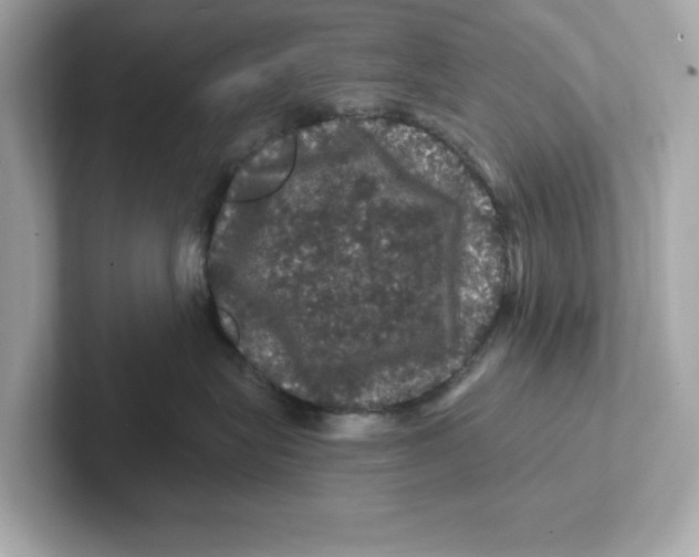 X0000101090575200807241010