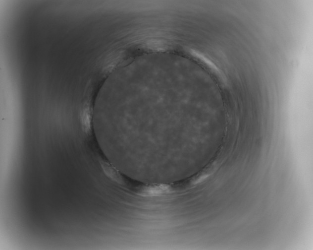 X0000101090576200807241010