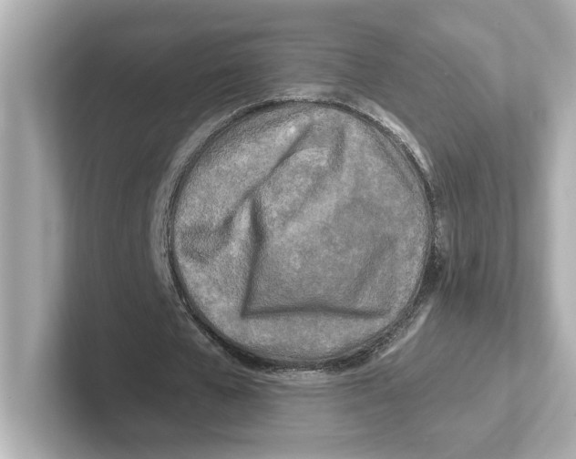 X0000101090577200807241010