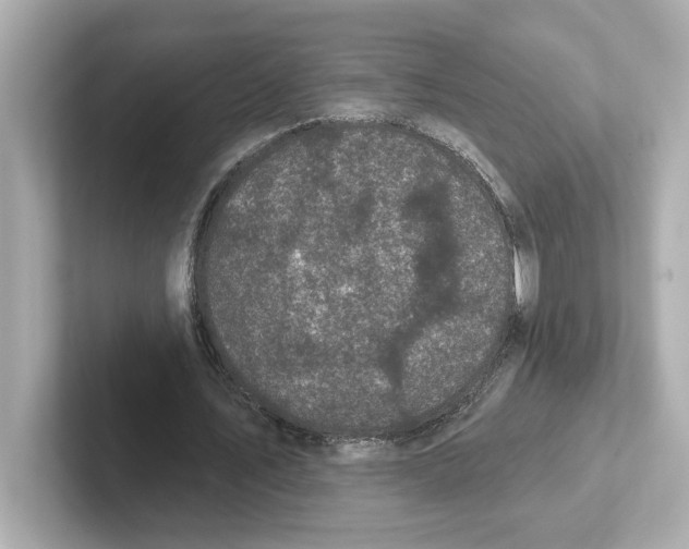 X0000101090579200807241010