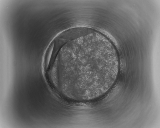 X0000101090580200807241009