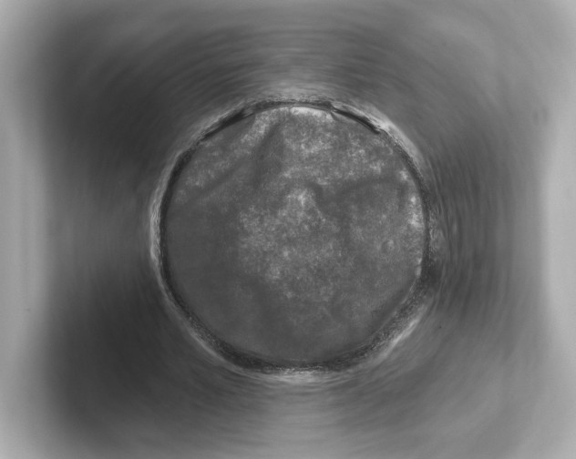 X0000101090581200807241009