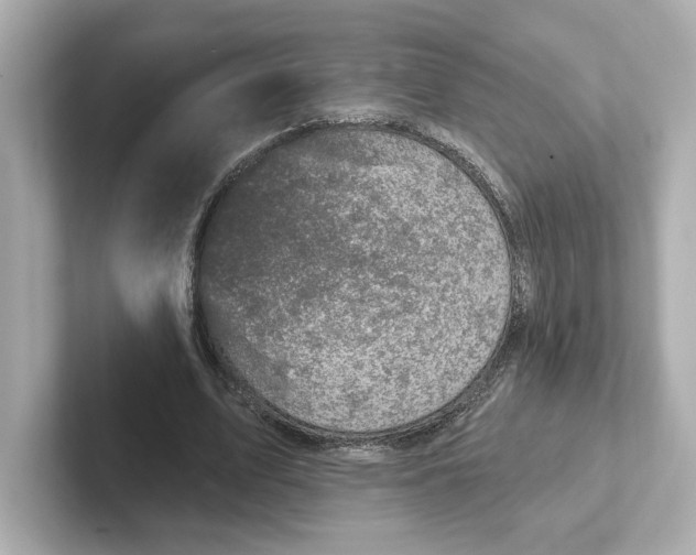 X0000101090583200807241009