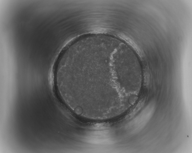 X0000101090584200807241009