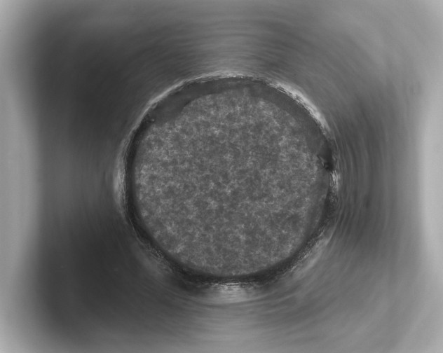 X0000101090588200807241009