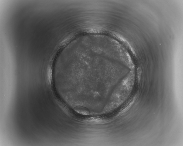 X0000101090589200807241009