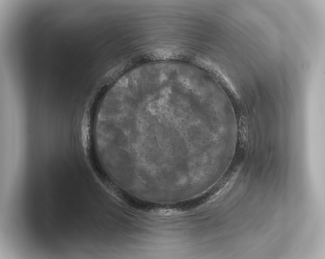 X0000101090590200807241009