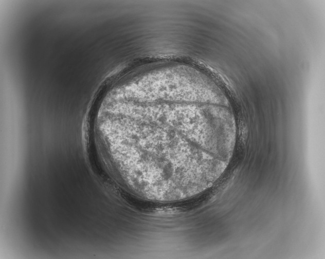 X0000101090591200807241009