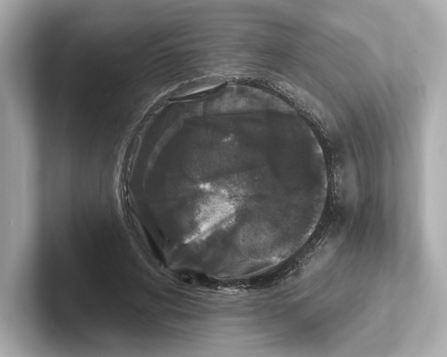 X0000101090592200807241009