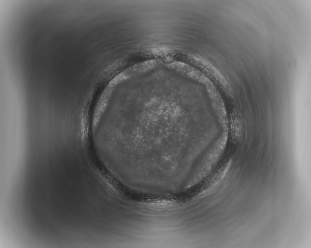 X0000101090593200807241009