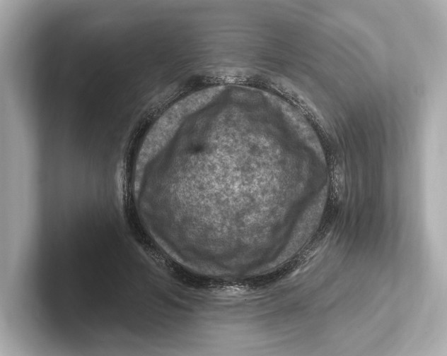 X0000101090594200807241009