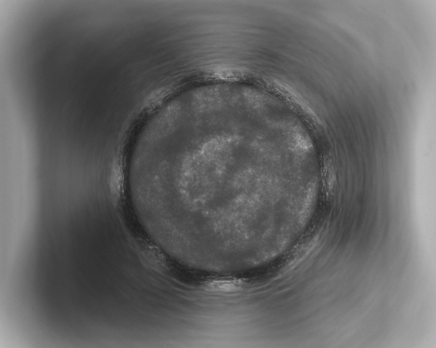 X0000101090595200807241009