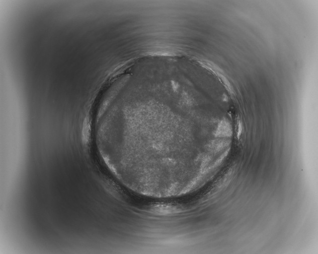 X0000101090596200807241009