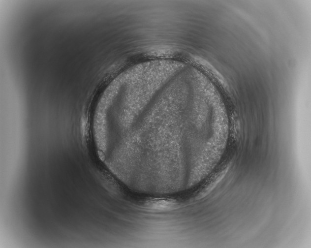 X0000101090597200807241009