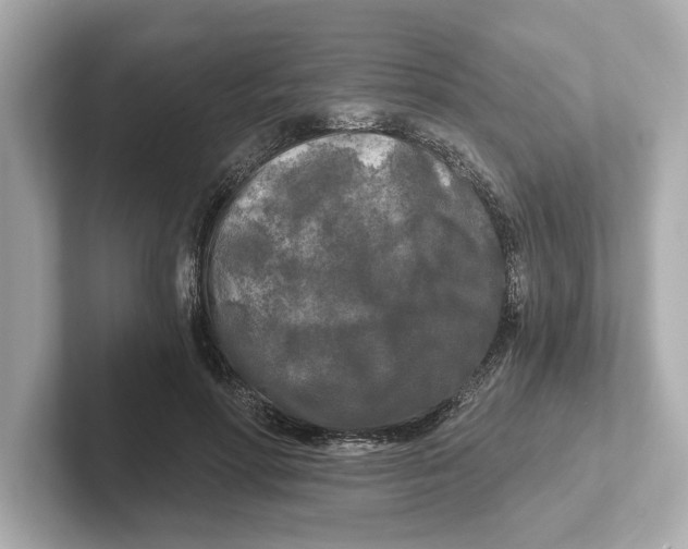 X0000101090598200807241009