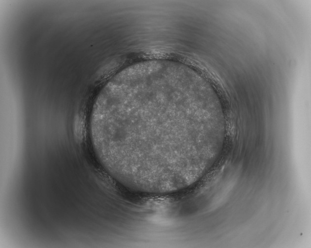 X0000101090599200807241009