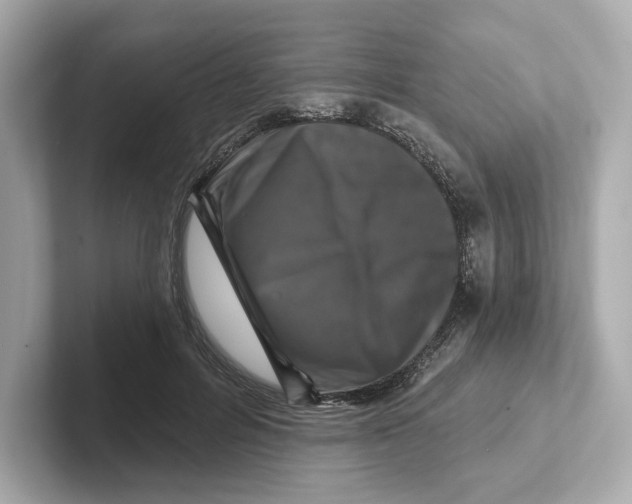 X0000101090600200807241009