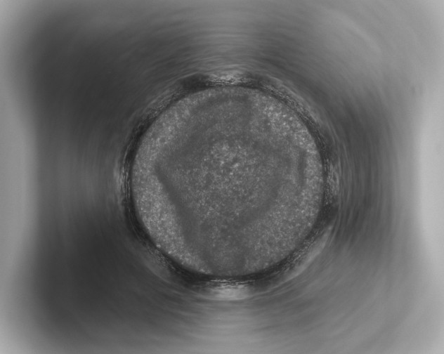 X0000101090601200807241009