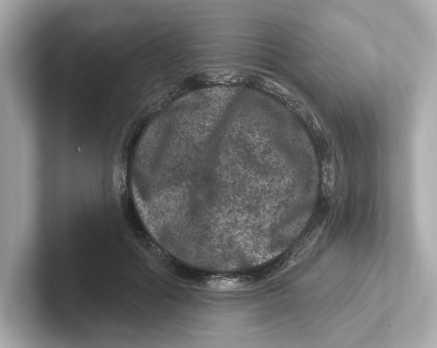 X0000101090602200807241009