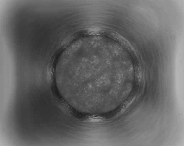 X0000101090603200807241009