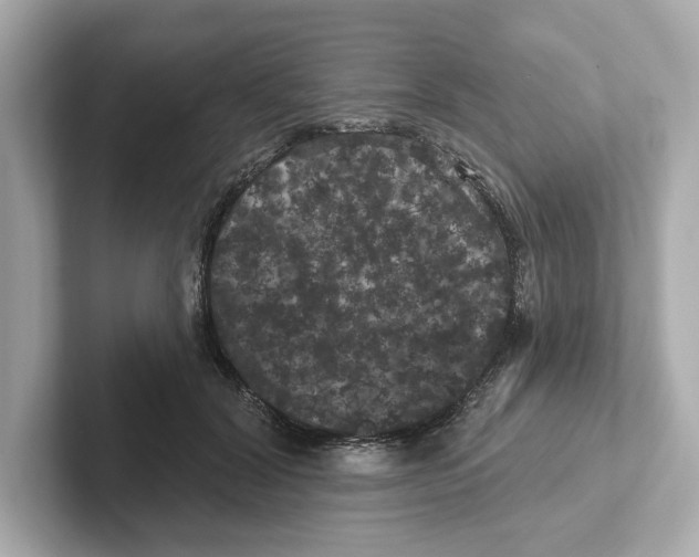 X0000101090604200807241009